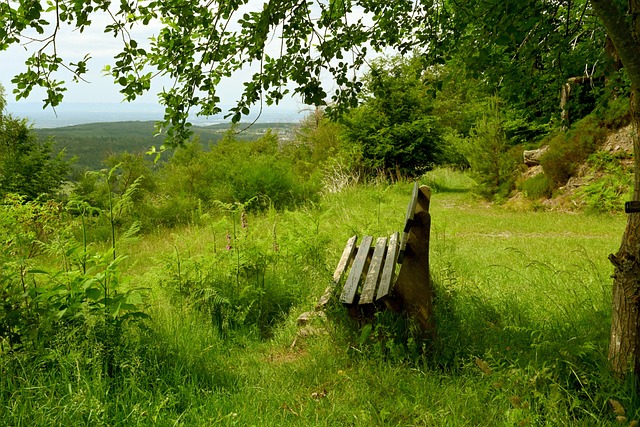 这样的战术 这样的战术