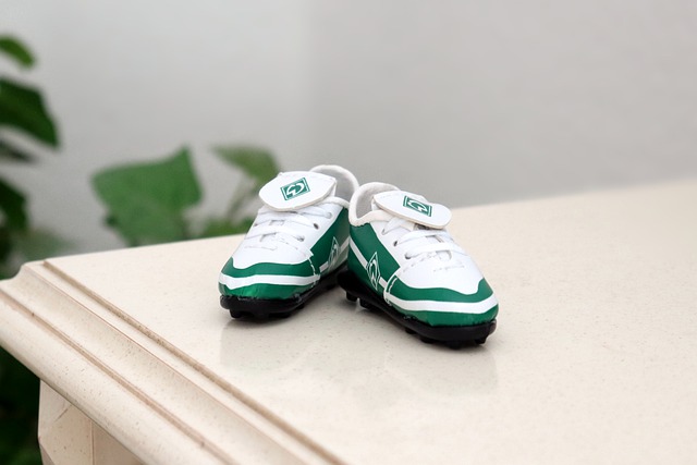 国羽梁王组 国羽梁王组