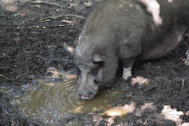 巨大的成长 巨大的成长