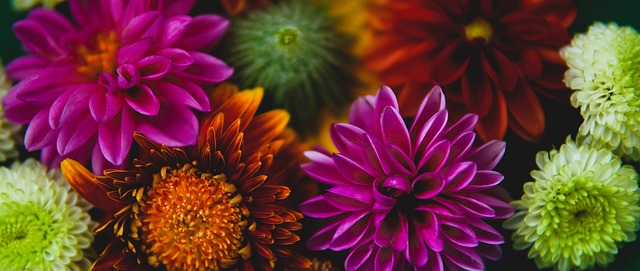 他的职业生 他的职业生