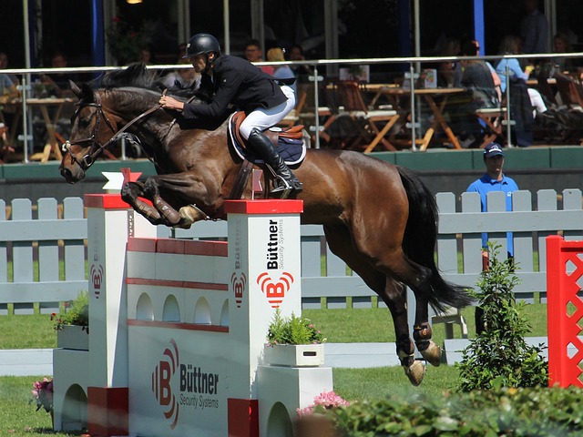 全球关注 全球关注