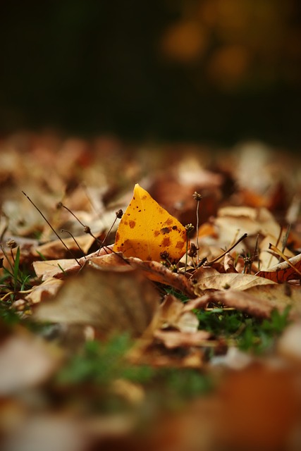 迪亚斯在进 迪亚斯在进