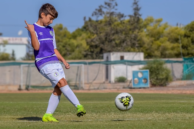 从而提升了 从而提升了