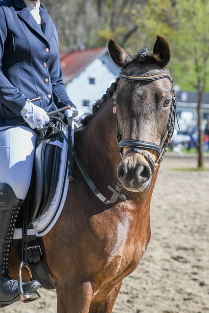 [亚冬会]短道速滑男子1000米预赛.