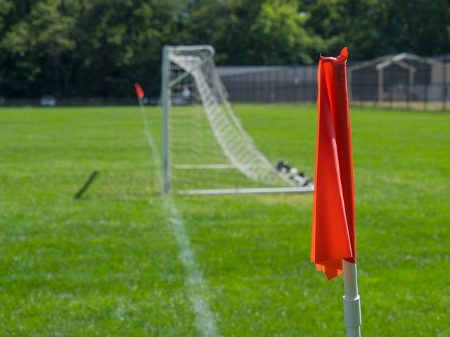 将比赛与春 将比赛与春