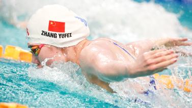 在规则框架 在规则框架