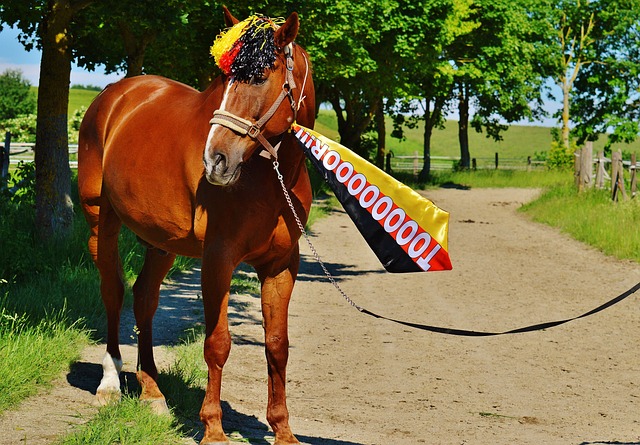 老詹17投6中，外加8失误！湖人喜提西部第二！.