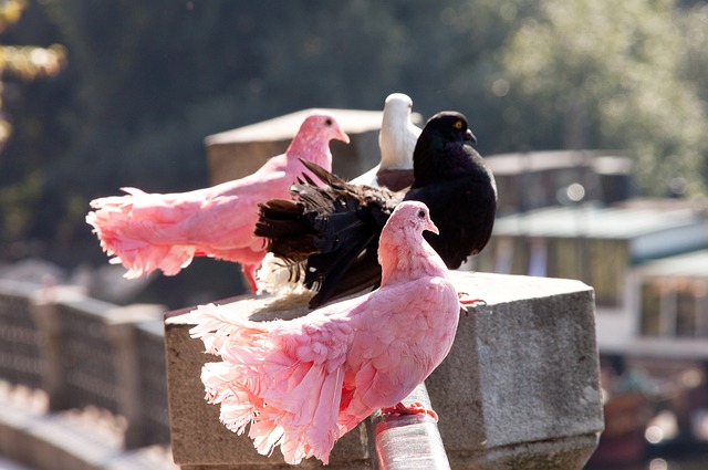 隊的成功經 隊的成功經